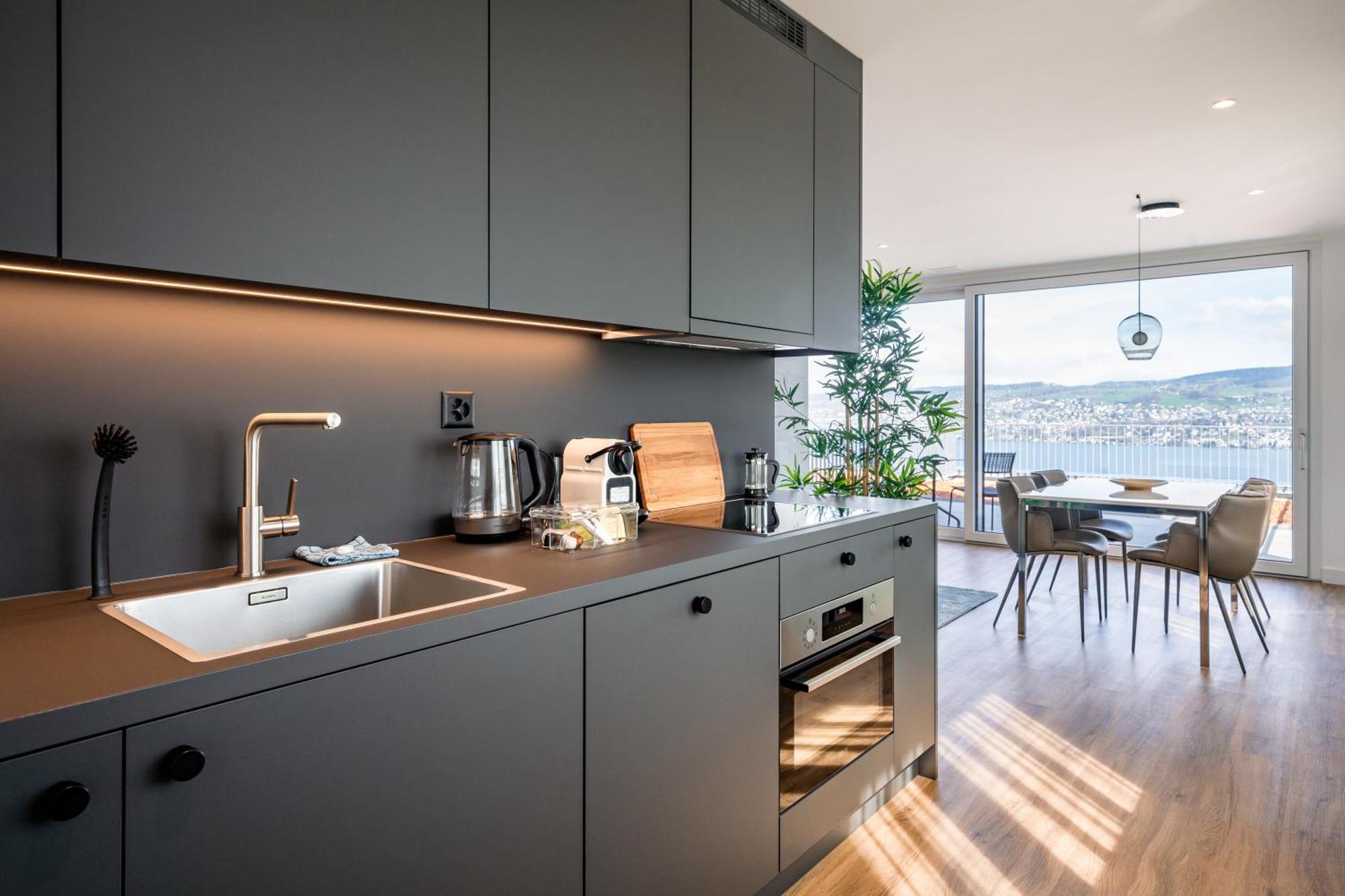 Aestate Living Lakeview In Horgen Zuerich Zug Pfaeffikon Exterior photo
